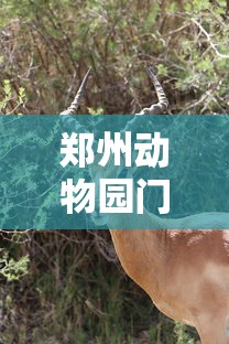 [教程经验]“微乐捉鸡麻将怎样玩才能赢分	”(透视)开挂辅助脚本+详细开挂安装教程