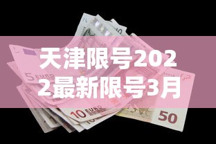 实测脚本“微乐二七王辅助插件怎么用”-详细教程