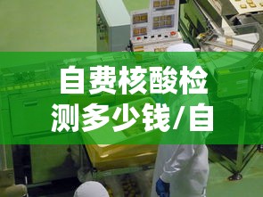 辅助教程分享“玩干瞪眼的技巧攻略”辅助工具插件,揭秘技巧开挂