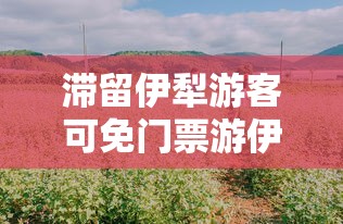 实测工具“微信微乐麻将开挂是不是真的”辅助神器插件下载
