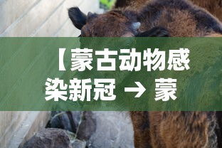 今日教程“微信河北微乐麻将挂”分享用挂教程