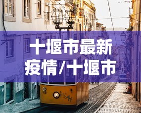 使用分享!手机麻将怎么玩胜率高”辅助神器插件下载