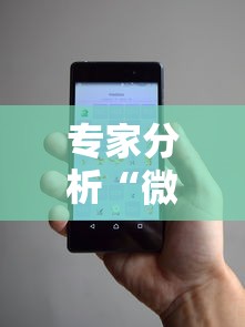 专家分析“微信小程序干瞪眼辅助	”辅助挂下载